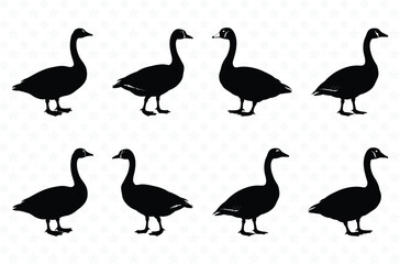 Set of Duck Silhouette Vector