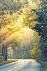 Obraz premium Jesienny wschód słońca, piękny widok, krajobraz. Mglisty poranek i pierwsze słoneczne promienie, tło natury, tapeta