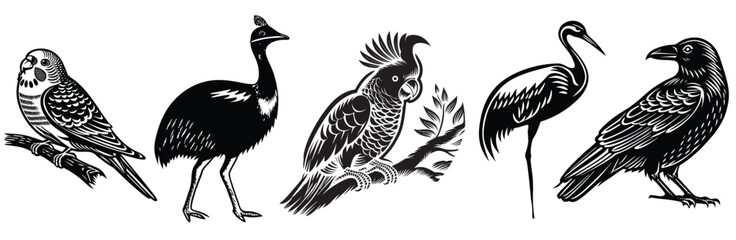 Obraz premium set of bird's 