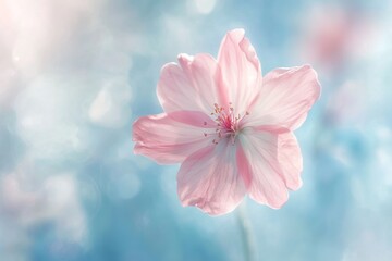 A Single Pink Flower Floating in a Dreamy Pastel Blue Background. AI generated illustration