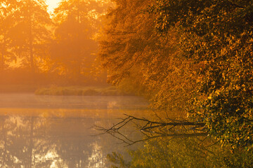 Jesienny wschód słońca, piękny widok, krajobraz. Mglisty poranek i pierwsze słoneczne promienie, tło natury, tapeta © anettastar
