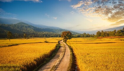 Obraz premium The expansive fields are dotted with vibrant wildflowers. 