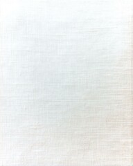 Elegant White Textile Texture for Art and Design Projects