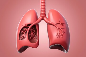 3D rendering of human lungs with bronchi and alveoli