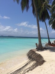 beach with palm trees