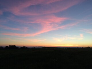 sunset over the field