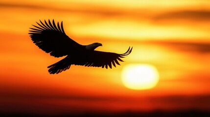 A silhouette of a bald eagle flying at sunset, with the sky glowing in warm orange hues.