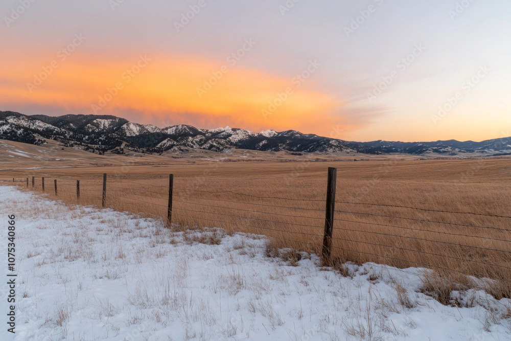 Poster a fence separates a field of snow from a field of grass