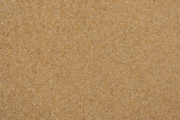 Sand texture background. Sandy beach pattern near sea. Desert ground. Fine granular realistic seamless illustration. Endless beige beach dune.