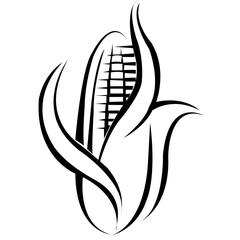 Corn illustrator image