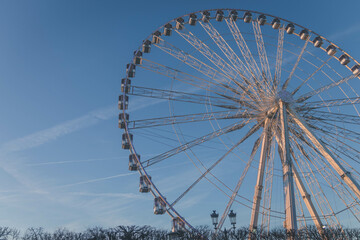 ferris wheel in the park