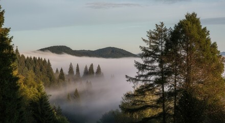 Obraz premium Misty mountain landscape at sunrise with silhouette