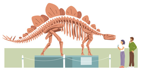 Museum of Paleontology. Stegosaurus skeleton. People are visitors, tourists. Large prehistoric lizard. Jurassic dinosaur bones. Flat vector illustration © Mikhail