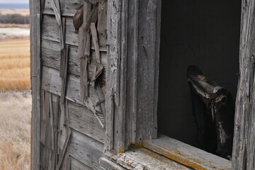 Explore the haunting beauty of abandoned spaces through captivating imagery