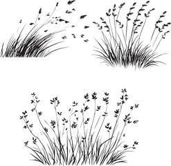 Silhouette of a grass graphic vector on white background