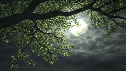 Moon rises between forest trees on dark cloudy sky, glowing bright transitioning to black