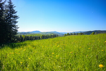 Mountains in spring