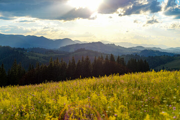 Mountains in spring