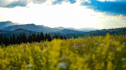 Mountains in spring