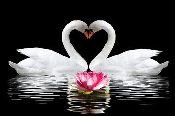 Elegant swans form a heart shape over calm waters, with a blooming lotus flower at sunset, creating a serene and romantic atmosphere