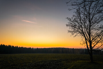 Sunset over a tranquil field with a solitary tree silhouetted against a colorful horizon in a serene rural landscape