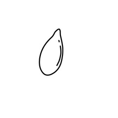 Nut and Seeds Outline Vector 