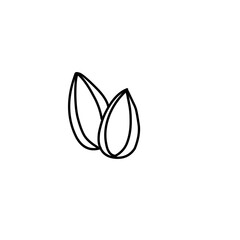 Nut and Seeds Outline Vector 