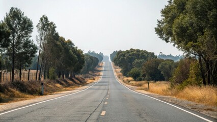 Fototapeta premium A forked road stretching into the distance with trees in both directions, path, foliage, harmony