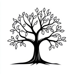 Fototapeta premium a black and white drawing of a tree