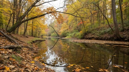 Reflective creek waters with fallen leaves and tree branches in autumn hue, autumn colors, forest atmosphere, natural beauty