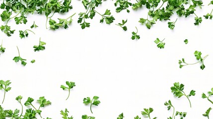 Fresh Green Herbs Isolated on White Background for Culinary and Design Use, Ideal for Recipes, Food Blogs, and Cooking Illustrations