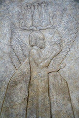 Persepolis, Achaemenid Ancient Ruins Cyrus the Great, Iran