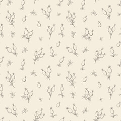 Beige floral pattern with Rose. Botanical rosehip