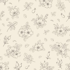 Beige floral pattern with Rose. Botanical rosehip