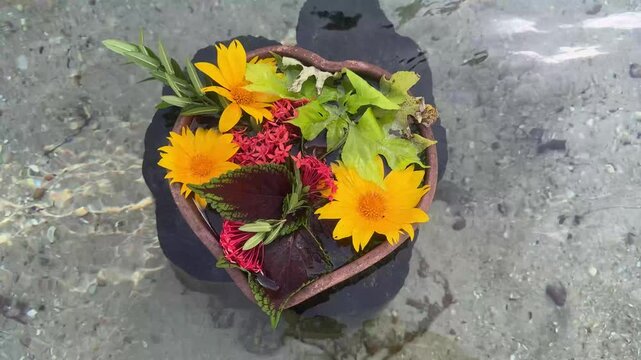 flores lindas na &aacute;gua 