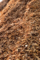 Mulch from wood chips and bark a pile