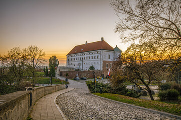 The city of Sandomierz with its churches, town hall and castle shown from above.