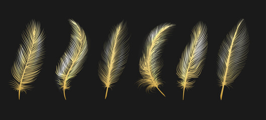 Gold feather set © vectortatu