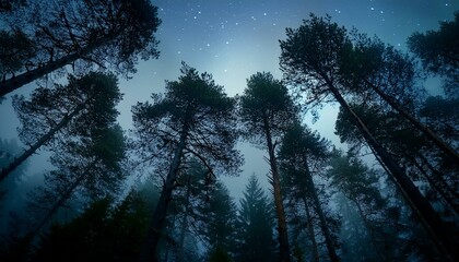Conjunto de arboles, mirando a una noche oscura de luna llena