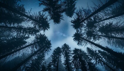 Obraz premium Conjunto de arboles, mirando a una noche oscura de luna llena