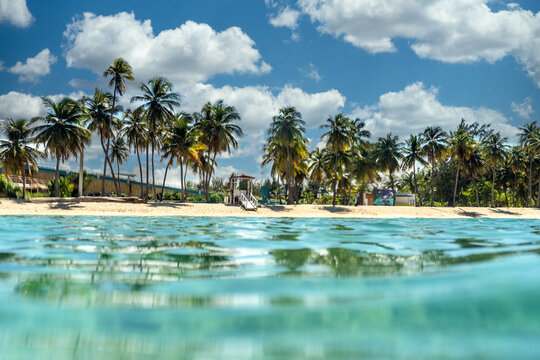 View of the beach from the ocean 