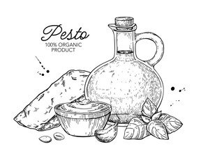 Pesto sauce ingredients vector drawing. Traditional italian pasta and salad dressing. Food sketch hand drawn sketch