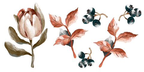 Seamless botanical pattern. Various herbs and flowers, hand-drawn. Vintage vector illustration of flowers. A colorful banner. An idea for wallpaper and textiles. A linear drawing. A botanical set.