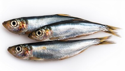 Fototapeta premium Herring on black bread
