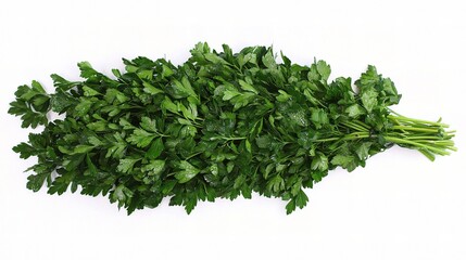 Obraz premium Fresh Bunch of Parsley Isolated on White Background Perfect for Culinary Use, Recipe Design, and Healthy Eating Promotion