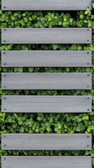 A serene wooden walkway with lush green plants thriving in the warm sunlight, inviting exploration and connection with nature