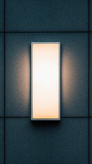 A modern dark grey wall illuminated by warm white outdoor lighting at night for an inviting atmosphere