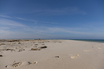 Il mare Tirreno al mattino e la spiaggia bianca
