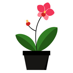 Orchid Plant in Pot Vector Art.