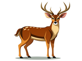 buck deer vector illustration, animal vector illustration, cute deer cartoon illustration